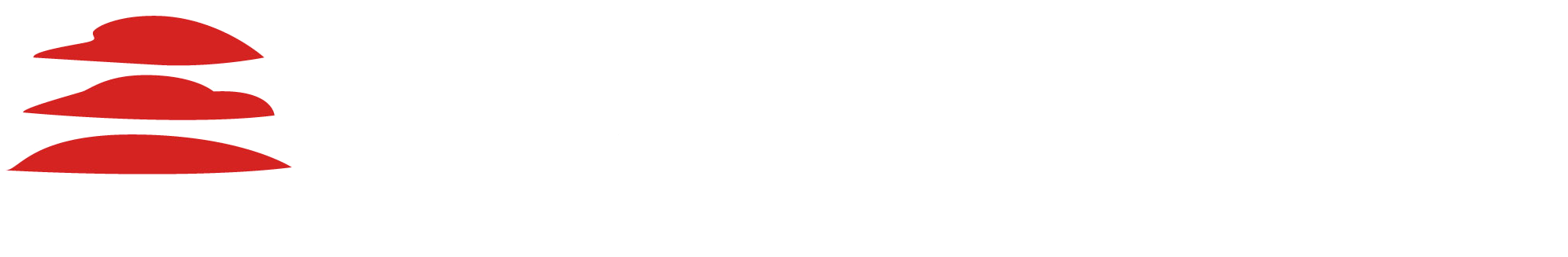 Logo Seminuevos Ecatepec
